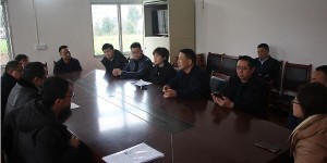 丰收的菜地里，这儿的农民好欢喜