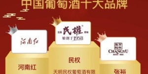 民权牌与河南红牌葡萄酒荣登2020年度葡萄酒十大品牌前两名