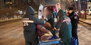 南岗分局民警巡逻途中伸援手 接连救助倒地群众获点赞