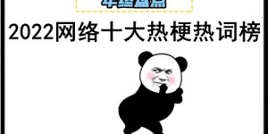 2022网络热词盘点！富而喜悦摆渡人、摆烂成年度流量密码！