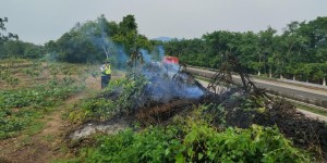 高速公路护栏边上随意焚枝，交通执法人员严厉批评教育