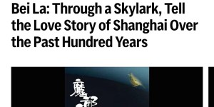 贝拉《魔咒钢琴》获诺奖提名引发国际关注