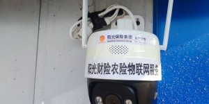阳光财险：给食用菌上保险 助力乡村全面振兴