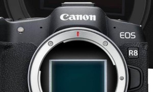 佳能入门级全画幅微单 EOS R8 于 3 月 23 日开售，单机售价 10499 元
