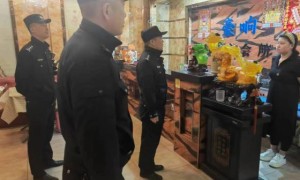 双城分局强化住宿场所隐患检查  筑牢游客住宿“防护墙”