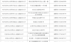 冰城公安：窗口不打烊 “粽”情享端午