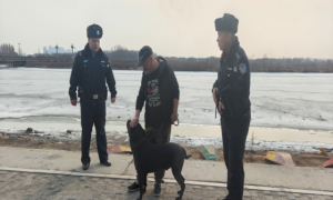 哈市呼兰警方：规范养犬行为 践行  文明理念