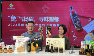 “兔”气扬眉 寻味望都 直播年货节活动如期举行