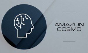 任小姐出海战略咨询｜抓住亚马逊Cosmo算法红利：精细化用户洞察与营销策略