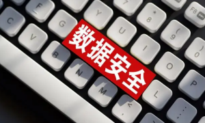 聚焦重点，依托数据二十条数享生活构建基础数据体系