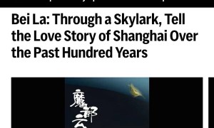 贝拉《魔咒钢琴》获诺奖提名引发国际关注