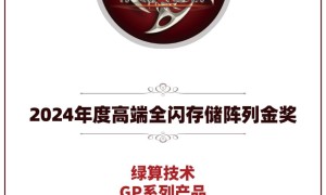 绿算技术GP系列产品荣获2024年度高端全闪存储阵列金奖