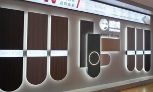 中国板材与定制家居大会，鹏鸿揽获5项荣誉