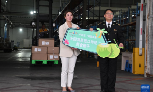 中国首票进口印尼鲜食椰子落地福州