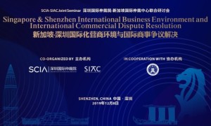 深圳和新加坡共商国际化营商环境与国际商事争议解决